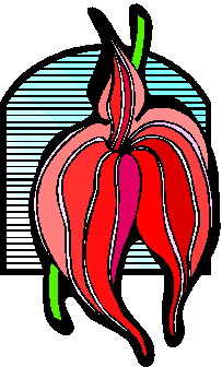 Orchid clip art