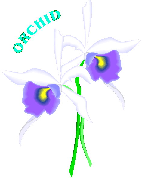 Orchid clip art