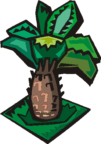 Palm tree clip art