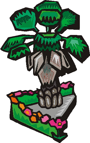 Palm tree clip art