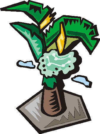 Palm tree clip art