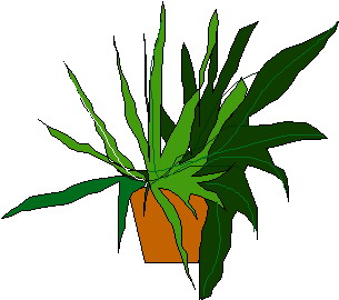 Plants clip art