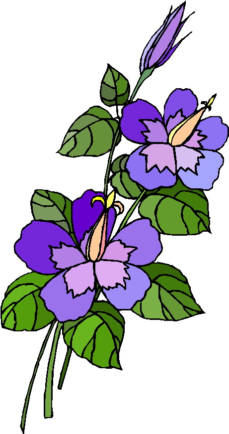 Plants clip art