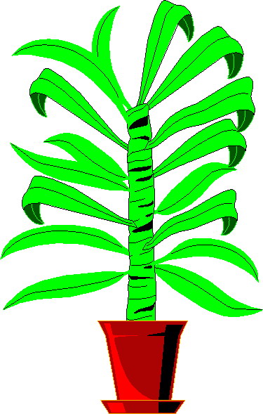 Plants clip art