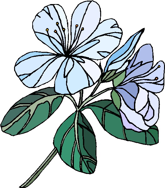 Plants clip art