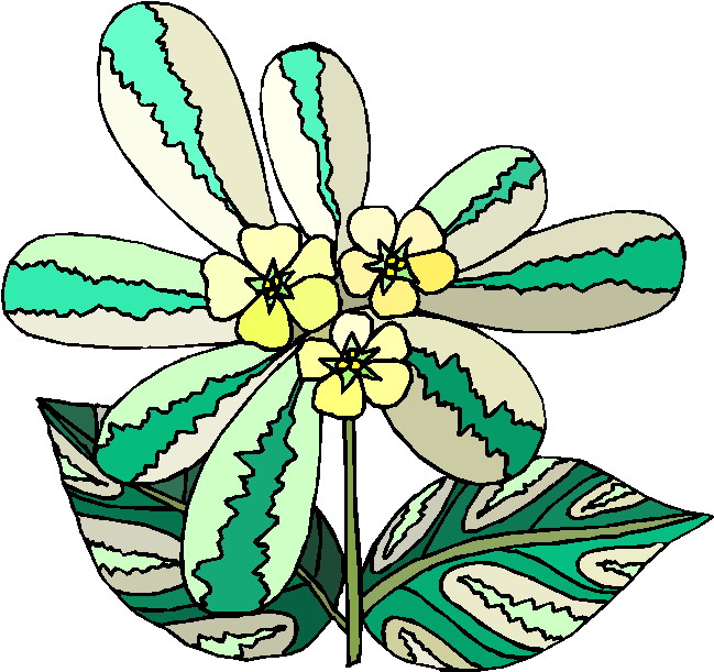 Plants clip art