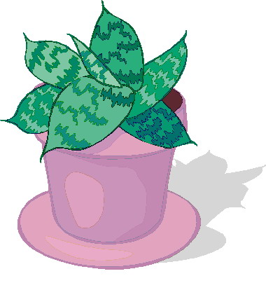 Plants clip art