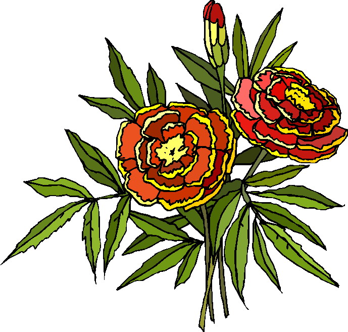 Plants clip art