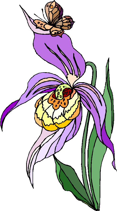 Plants clip art