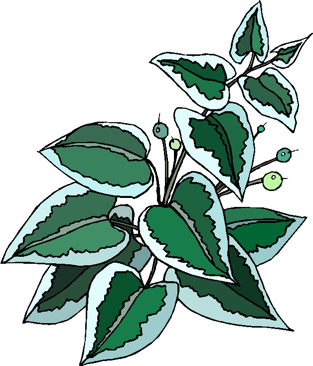 Plants clip art