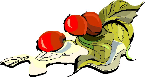 Plants clip art