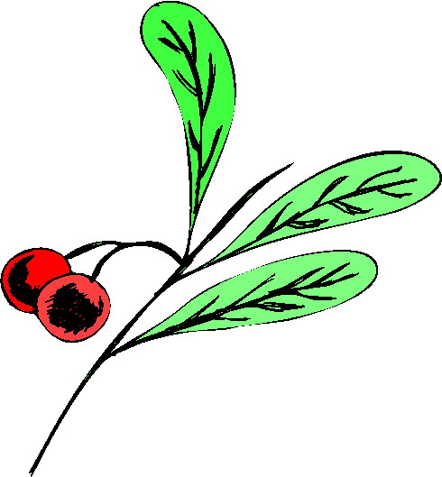 Plants clip art