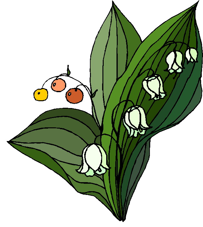 Plants clip art