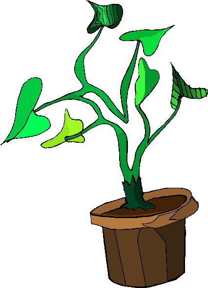 Plants clip art