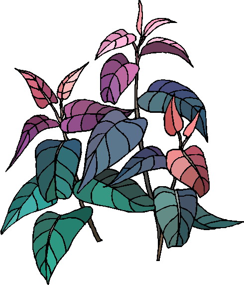 Plants clip art