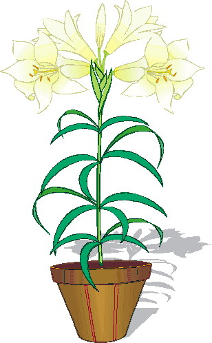 Plants clip art