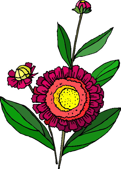 Plants clip art