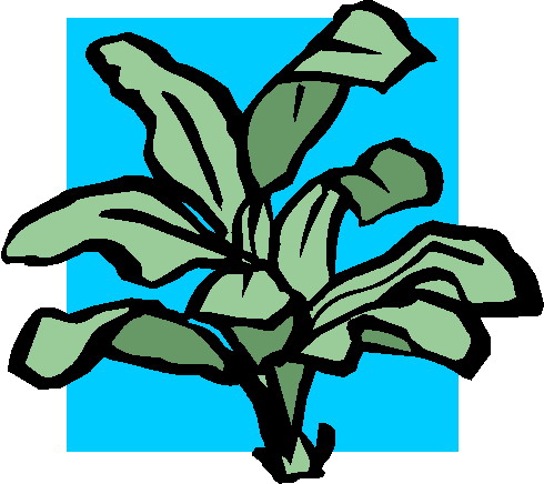 Plants clip art