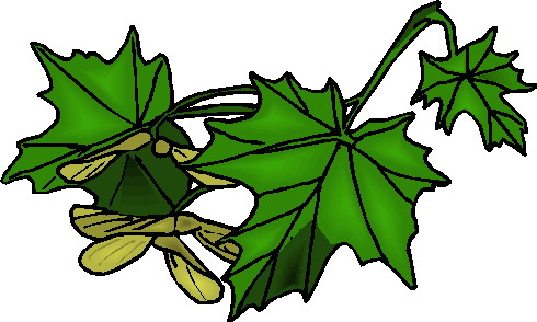 Plants clip art