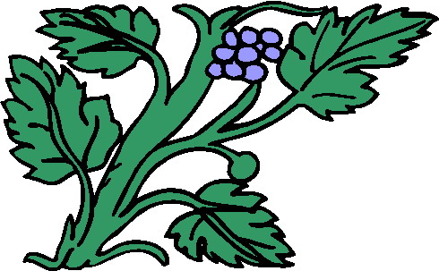 Plants clip art
