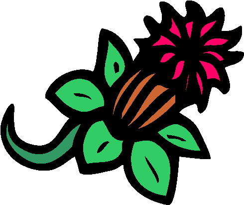 Plants clip art