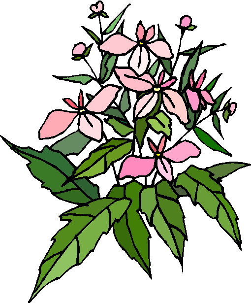 Plants clip art