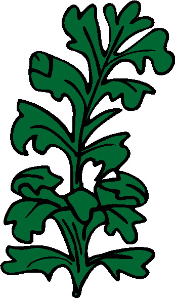 Plants clip art