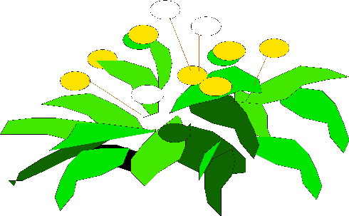 Plants clip art