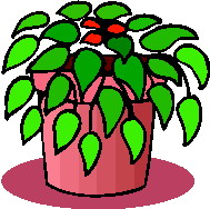 Plants clip art