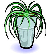 Plants clip art