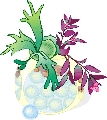 Plants clip art