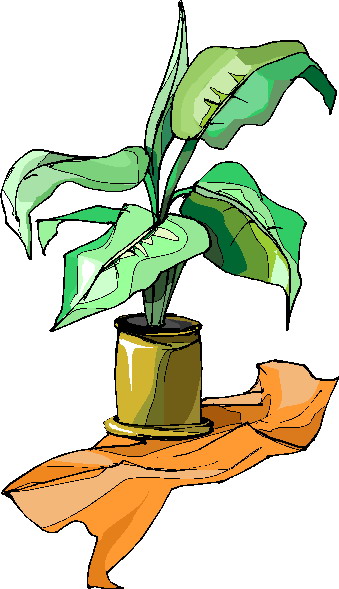 Plants clip art