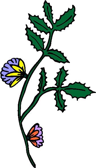 Plants clip art