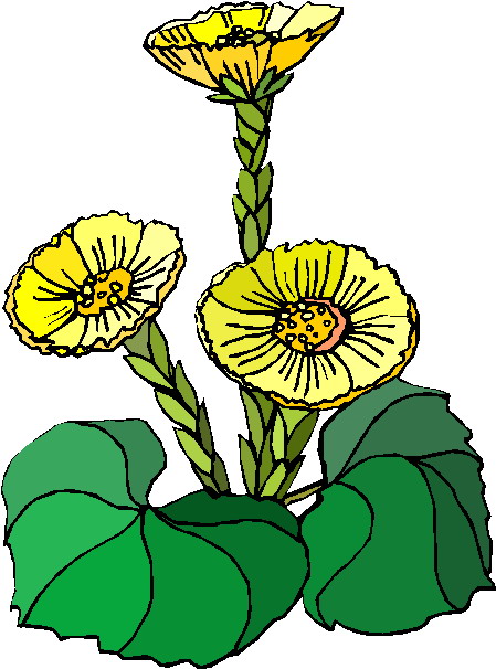 Plants clip art