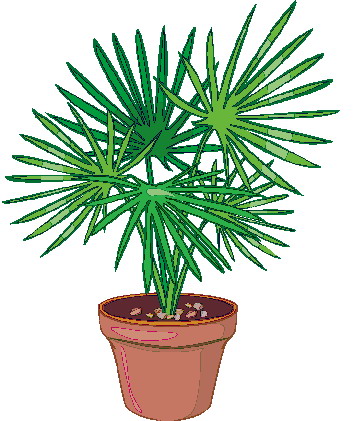 Plants clip art