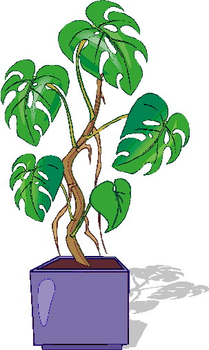 Plants clip art