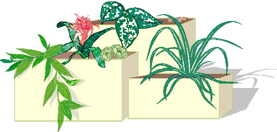 Plants clip art