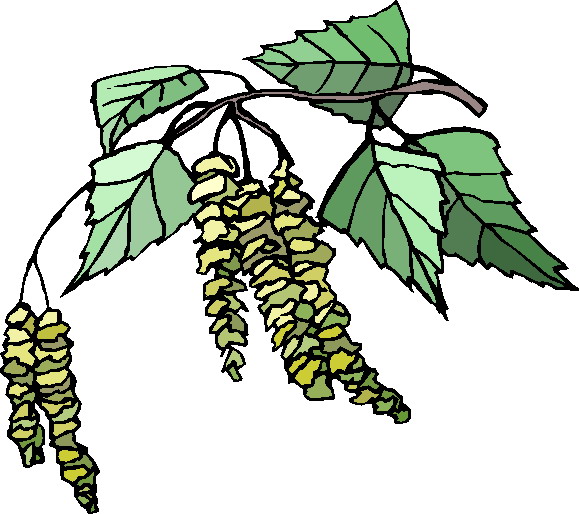 Plants clip art