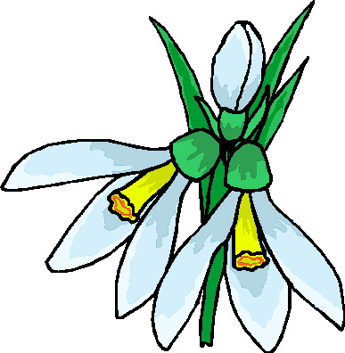 Plants clip art