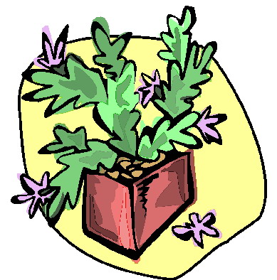 Plants clip art