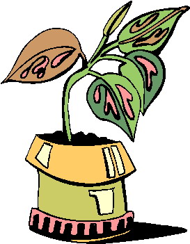 Plants clip art