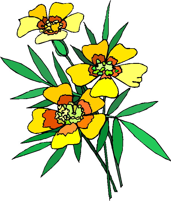 Plants clip art