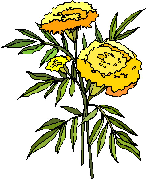 Plants clip art