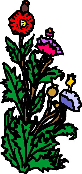 Plants clip art