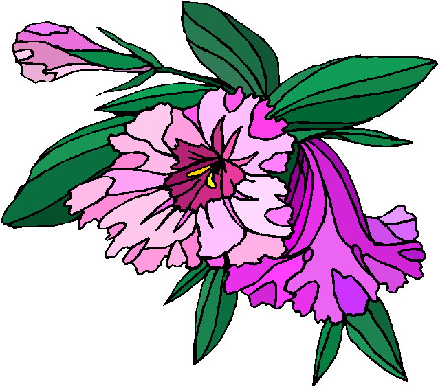 Plants clip art