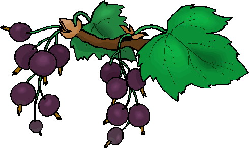 Plants clip art