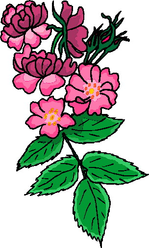 Plants clip art