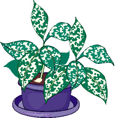 Plants clip art