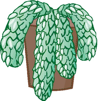 Plants clip art