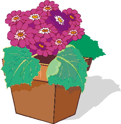 Plants clip art